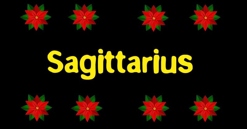 Funny zodiac Sagittarius