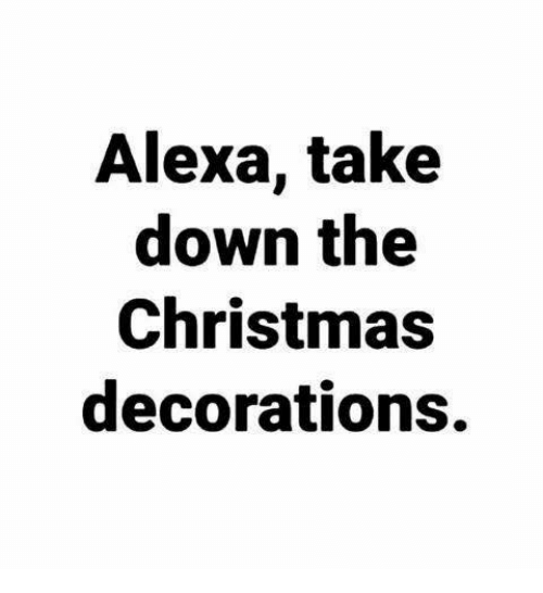 Funny memes January 2021: Alexa, take down the Christmas decorations.