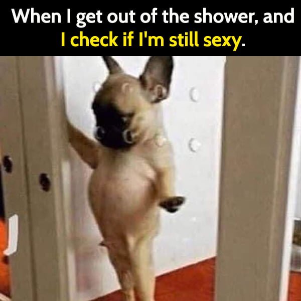 When I get out of the shower, and I check if I'm still sexy.