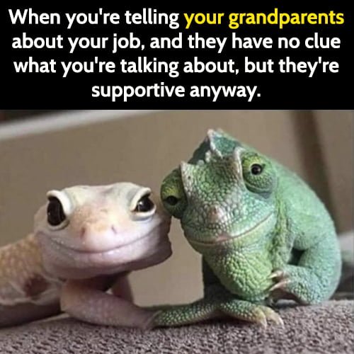 Funny animal memes: When you're telling your grandparents about your job, and they have no clue what you're talking about, but they're supportive anyway.