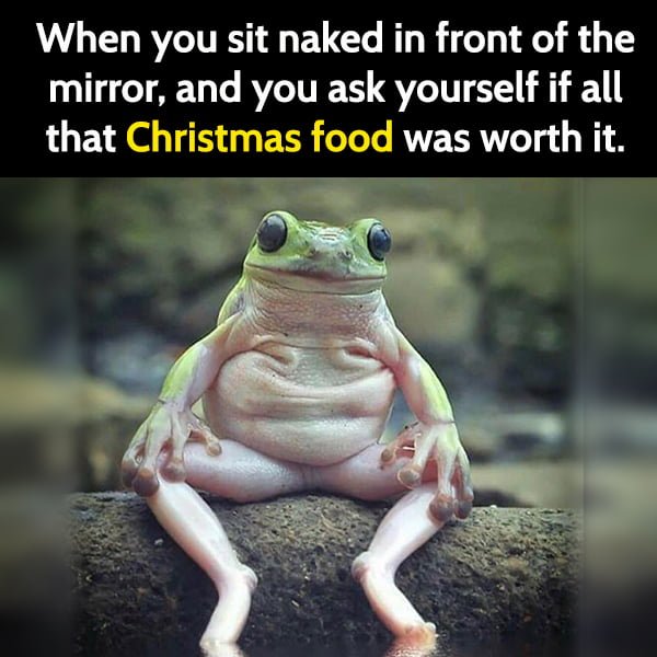 Funny frog meme: When you sit naked in front of the mirror, and you ask yourself if all that Christmas food was worth it.
