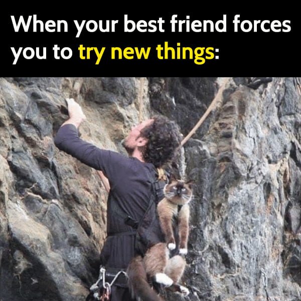 Funny cute cat meme: When your best friend forces you to try new things