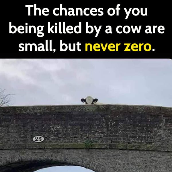 Hilarious meme: The chances of you being killed by a cow are small, but never zero.