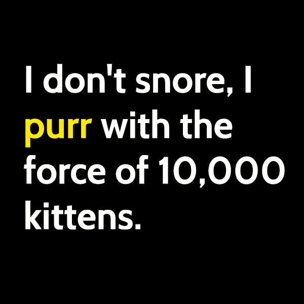 Funny cute cat meme: I don't snore, I purr with the force of 10,000 kittens.