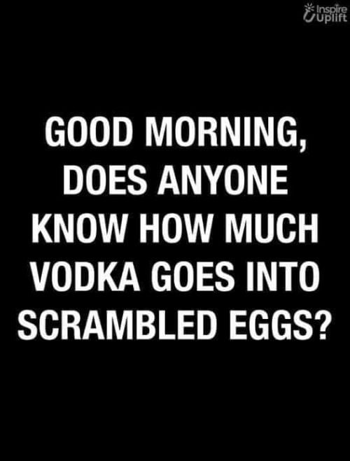 Funny memes January 2021: Good morning, does anyone know how much vodka goes into scrambled eggs?