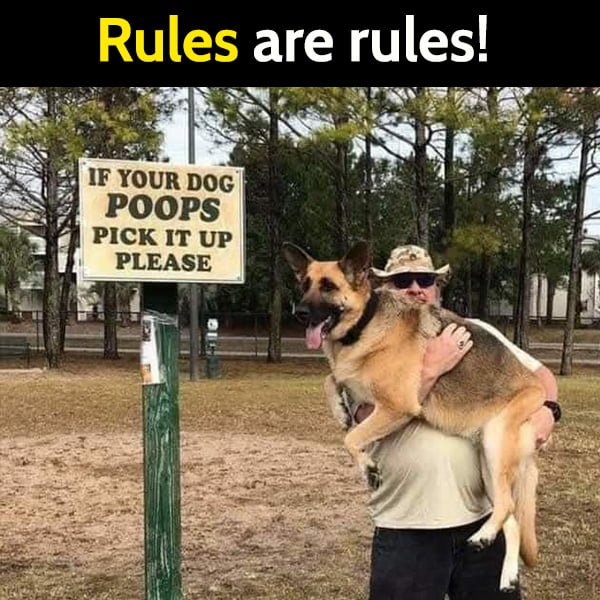 Funny jokes: If your dog poops, pick it up please.