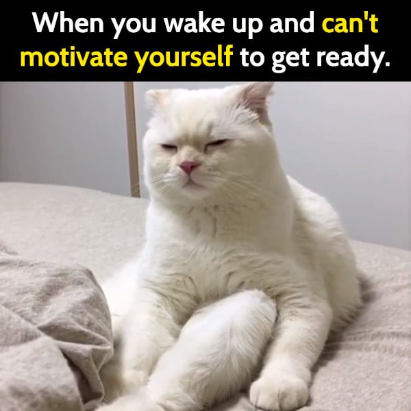 Funny meme when you wake up and can't motivate yourself to get ready.