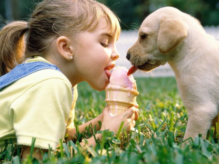 Cute kids and their pets: little girl and dog eat icecream