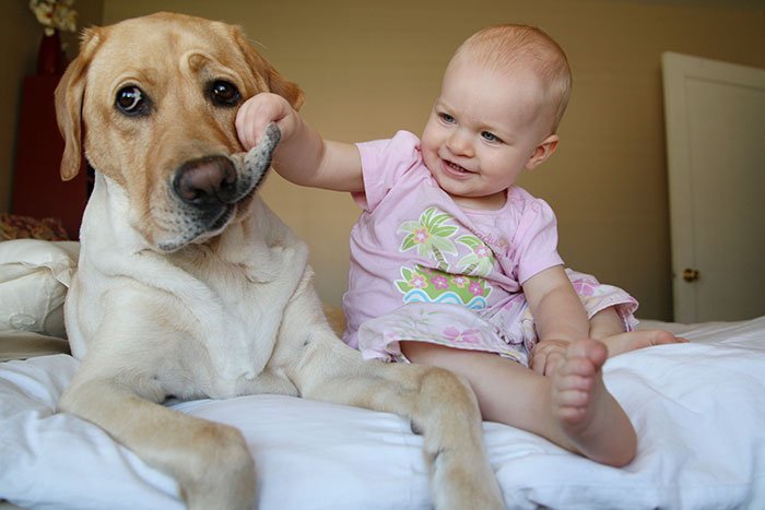Cute kids and their pets: baby and dog