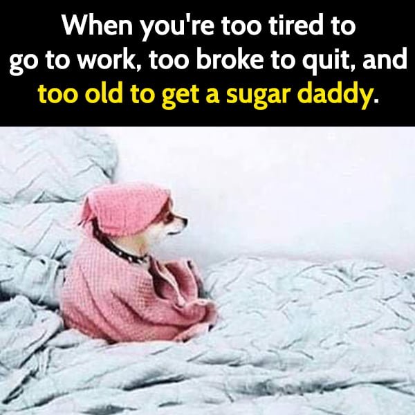 Funny joke: When you're too tired to go to work, too broke to quit, and too old to get a sugar daddy.