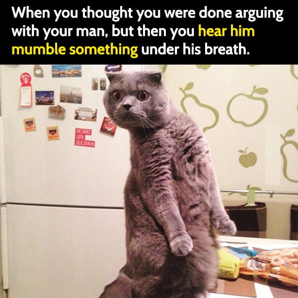 Funny meme marriage: When you thought you were done arguing with your man, but then you hear him mumble something under his breath.