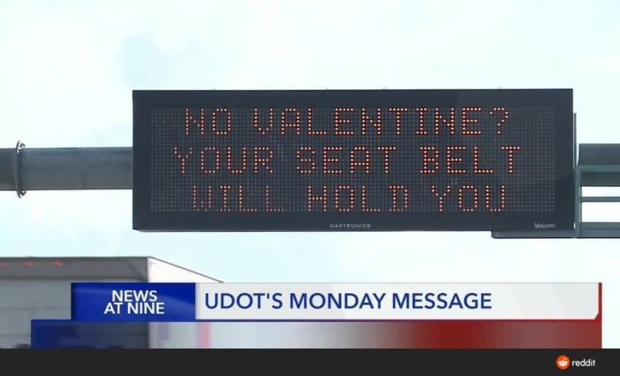 Funny Highway Road Signs No valentine you seat belt will hold you
