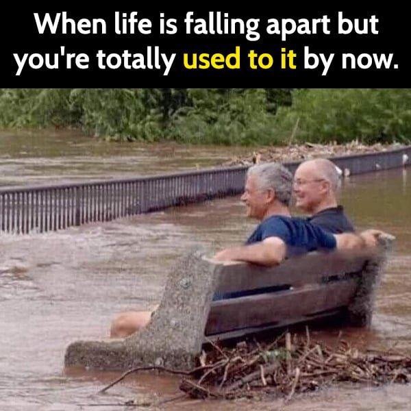 Funny meme: When life is falling apart but you're totally used to it by now.