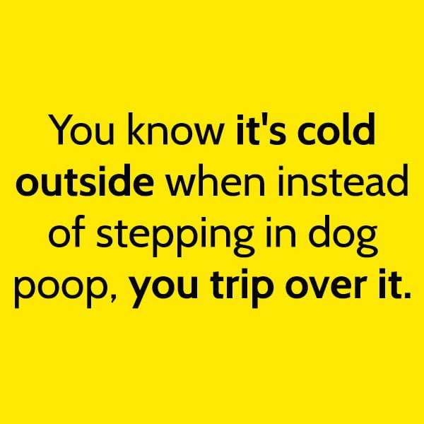 Funny cold weather winter snow storm memes: You know it's cold outside when instead of stepping in dog poop, you trip over it.