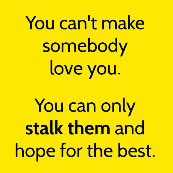 You can't make somebody love you. You can only stalk them and hope for the best.