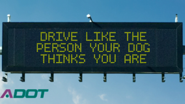Funny Highway Road Signs Drive like the person your dog
