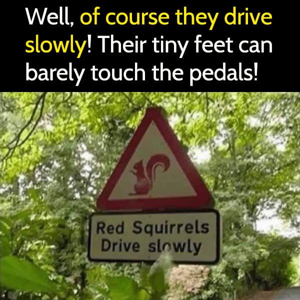 Well, of course, they drive slowly! Their tiny feet can barely touch the pedals!