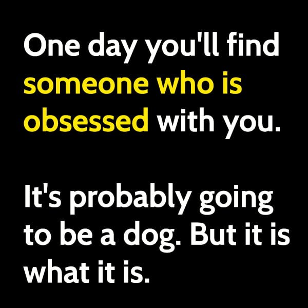 Best Memes In January 2021: One day you'll find someone who is obsessed with you. It's probably going to be a dog. But it is what it is.