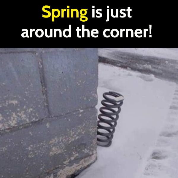 Funny Random Memes To Cheer You Up Spring is just around the corner!