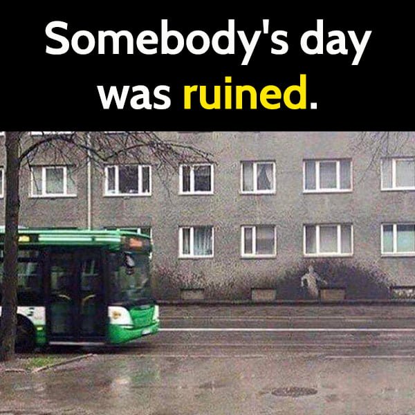 Funny article hilarious random memes: Someone's day was ruined.