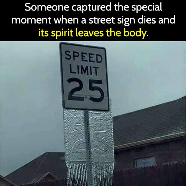 Funny article hilarious random memes: Someone captured the special moment when a street sign dies and its spirit leaves its body.