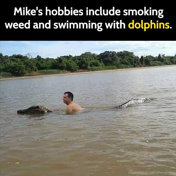 Funny article hilarious random memes: Mike's hobbies include smoking weed and swimming with dolphins.