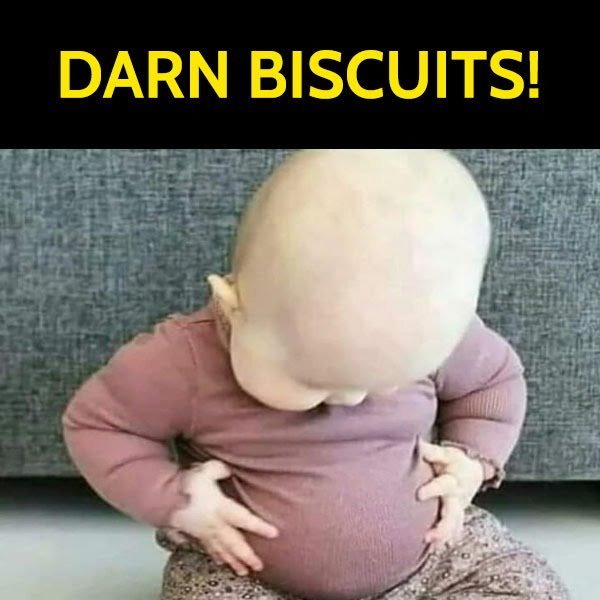 Fun Clean Humor Hilarious Memes: Baby belly, darn biscuits!
