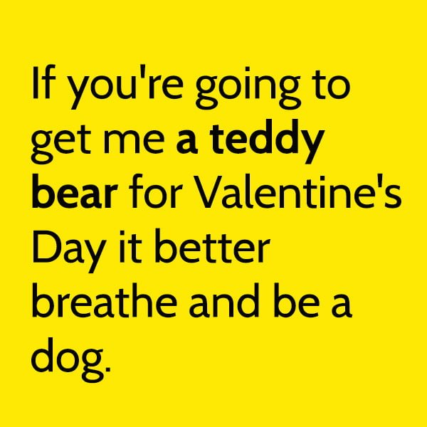 If you're going to get me a teddy bear for Valentine's Day it better breathe and be a dog.