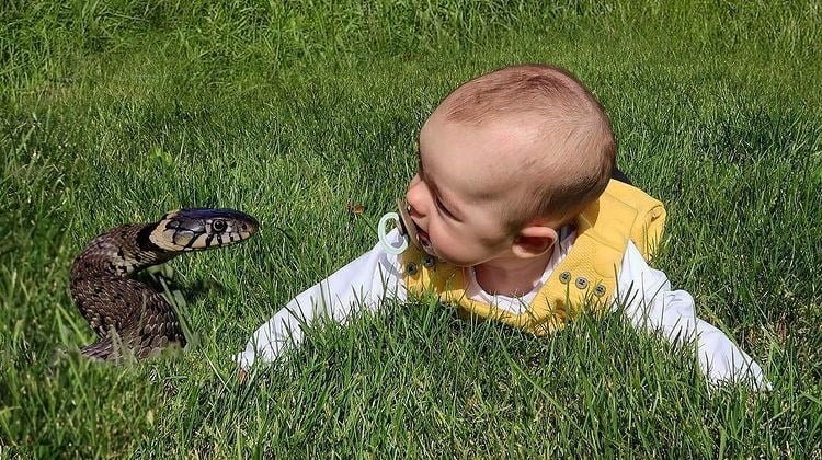 This Dad Photoshops His Baby Into Hilarious Situations snake