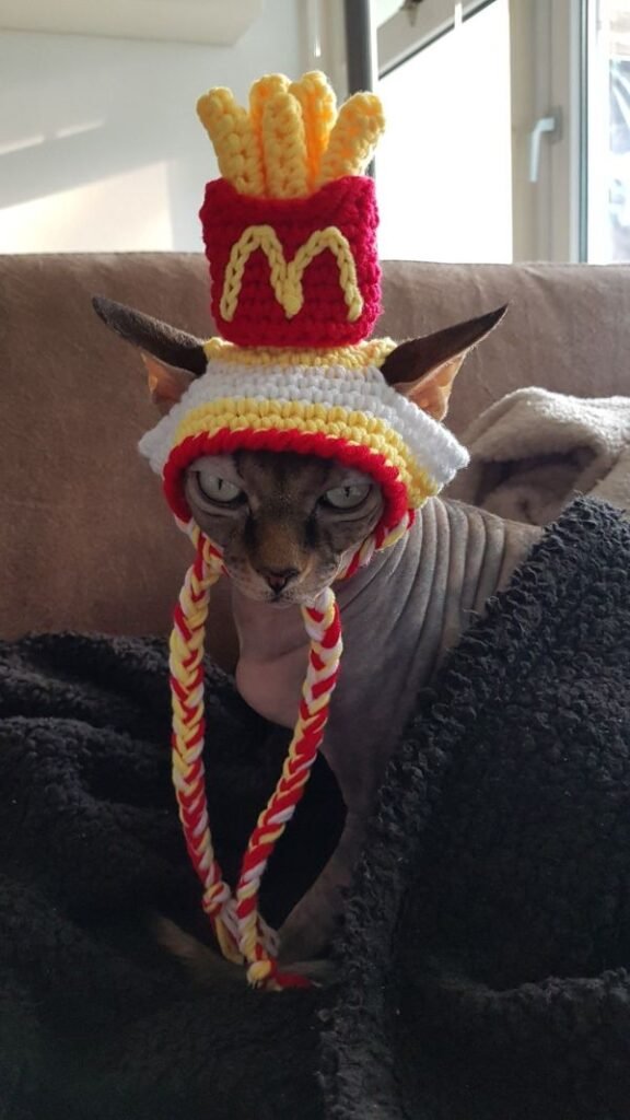Ridiculous Funny Knitting Ideas Crochet Mc Donald's cat hat