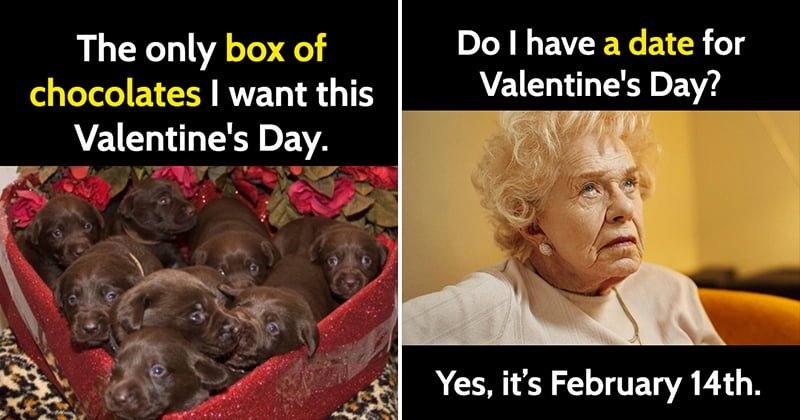 25 Hilarious Valentine's Day Memes For Everyone Celebrating Or Not - Bouncy  Mustard
