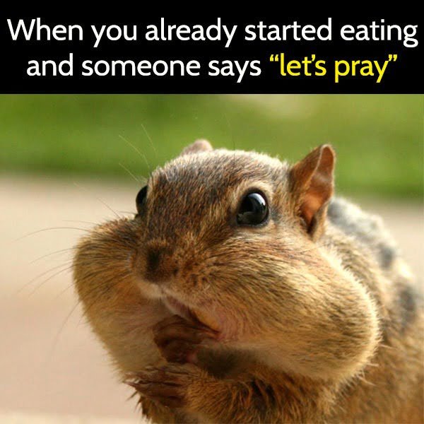 clean humor funny meme when you already started eating and someone says let's pray
