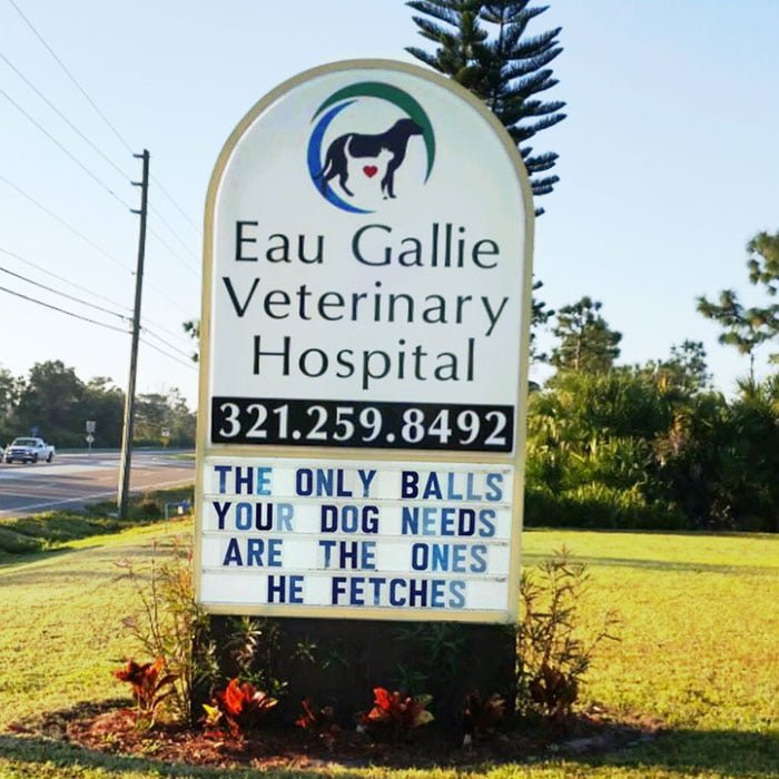 Funny Vet Sign Veterinary Clinic Humor Animal Hospital Joke THE ONLY BALLS YOUR DOG NEEDS ARE THE ONES HE FETCHES