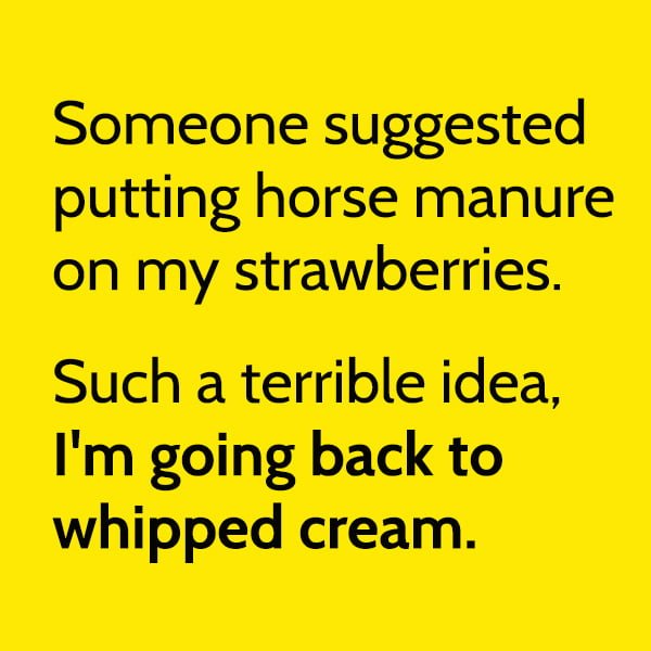 Funny Random Memes Someone suggested putting horse manure on my strawberries. Such a terrible idea, I'm going back to whipped cream.