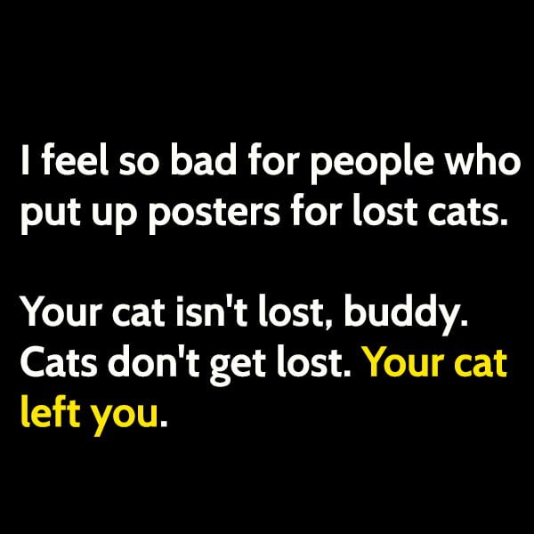 Funny Random Memes Humor I feel so sorry for people who put up posters for lost cats. Your cat isn't lost, buddy. Cats don't get lost. Your cat left you.