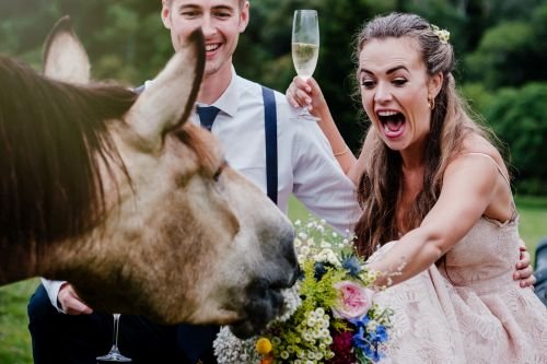 Funny wedding picture fail hilarious photo horse eats bouquet