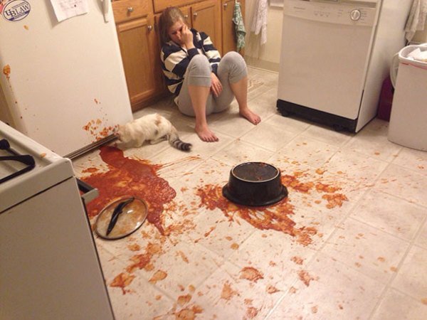 Hilarious Kitchen Fails Funny Cooking Disaster