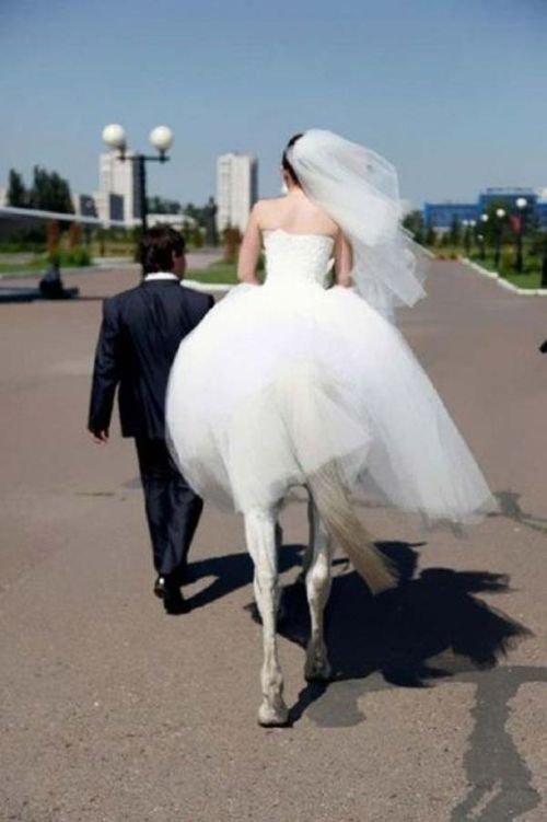 Funny wedding picture fail hilarious photo bride on the horse
