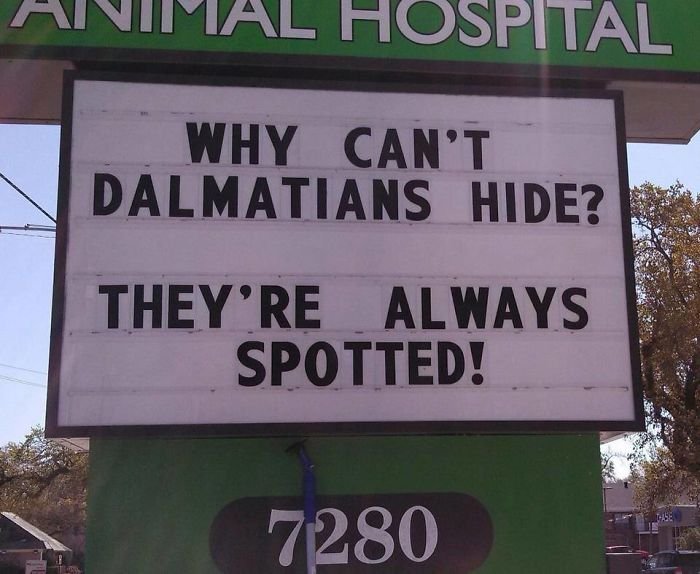 Funny Vet Sign Veterinary Clinic Humor Animal Hospital Joke WHY CAN'T DALMATIANS HIDE? THEY'RE ALWAYS SPOTTED!