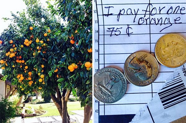 TOP Funny Delivery Driver Pays For Oranges