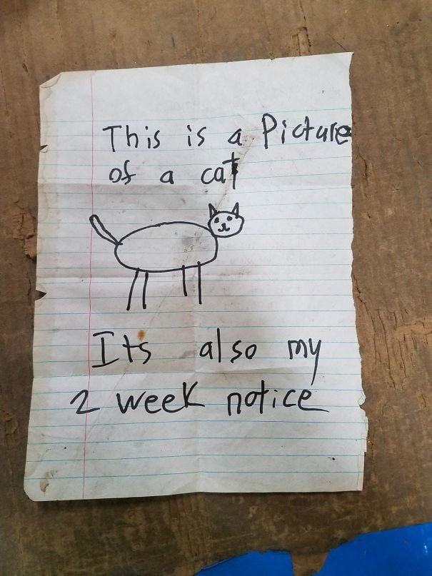 Funny Creative Resignation Letters Cat drawing