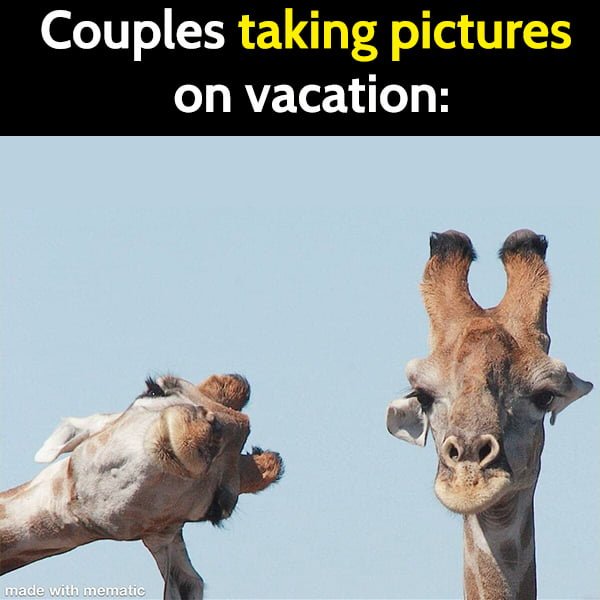 Funny Random Memes Humor Taking pictures while on vacation:
