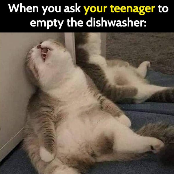 Funny Random Memes Humor When you ask your teenager to empty the dishwasher: