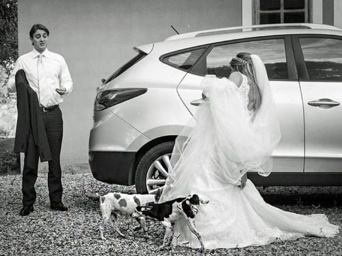 Funny wedding picture fail hilarious photo dogs pee on dress
