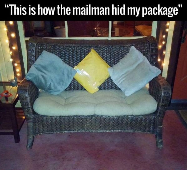 TOP Funny Delivery Drivers Hide Package Between Pillows