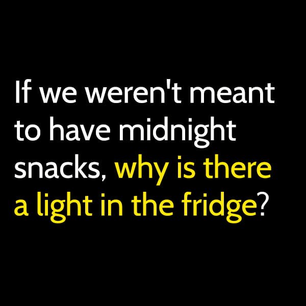 Funny Random Memes Humor If we weren't meant to have midnight snacks why is there a light in the fridge?