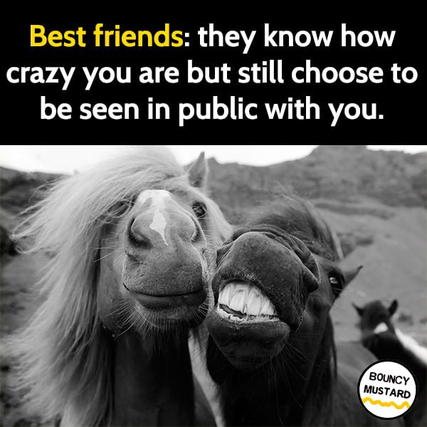 Random Funny Meme March: Best friends: they know how crazy you are but still choose to be seen in public with you.