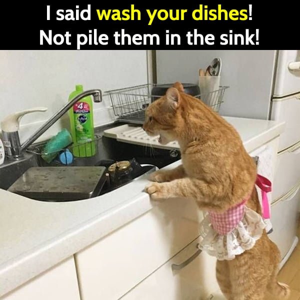Funny Random Memes Humor I said wash your dishes! Not pile them in the sink!