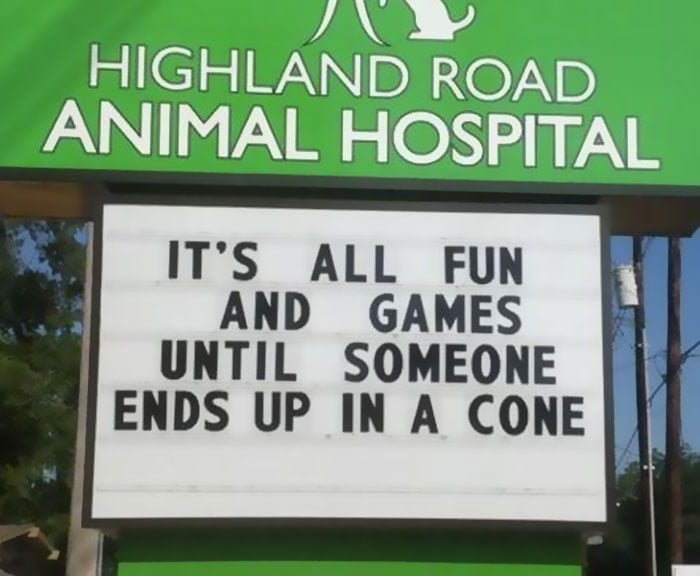 Funny Vet Sign Veterinary Clinic Humor Animal Hospital Joke IT'S ALL FUN AND GAMES UNTIL SOMEONE ENDS UP IN A CONE