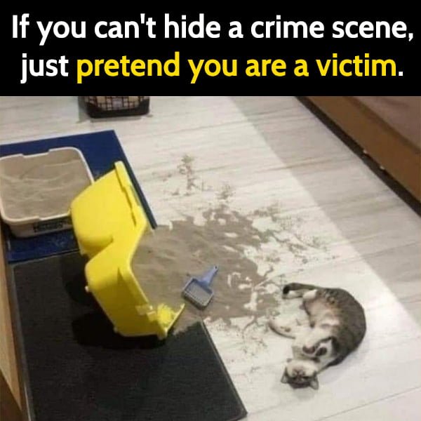 Random Funny Meme March: If you can't hide a crime scene, just pretend you are a victim.